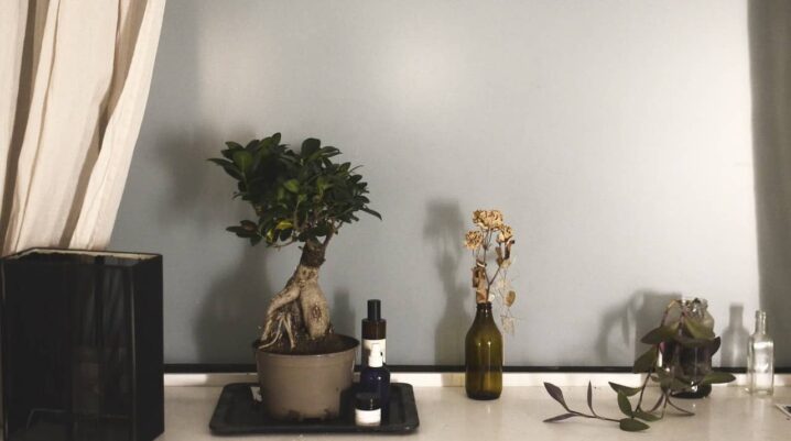 Top 4 Decorative Items for Your Home in the Winters